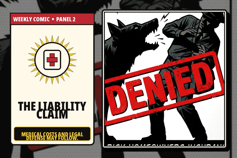 Comic-style medical and liability claim symbols related to a dog incident.