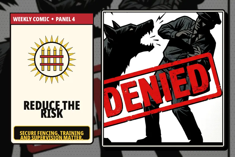 Comic-style secure fence and responsible dog-safety improvements.