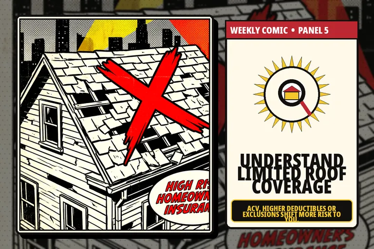 Comic-style policy review showing roof coverage limitations.