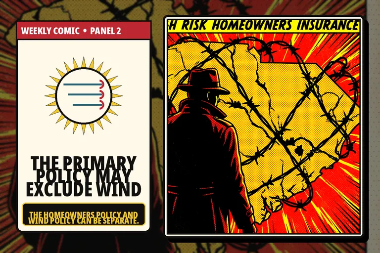 Comic-style separate homeowners and wind policies for a South Carolina coastal home.
