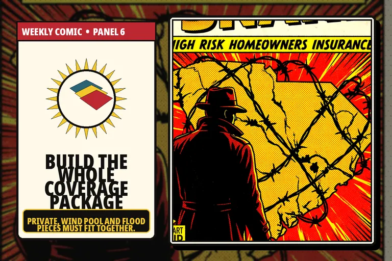 Comic-style layered South Carolina homeowners, wind and flood policies.